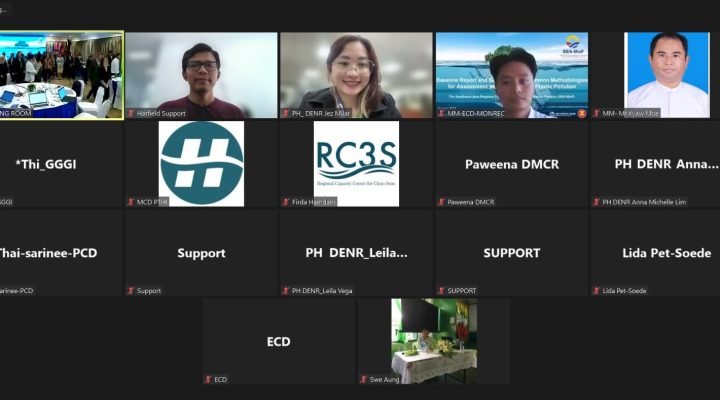 2. Online Participants copy